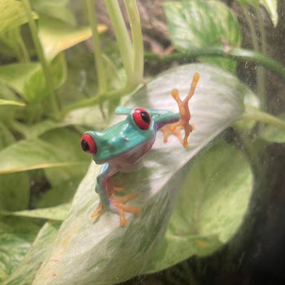 Meet your Posher, Ellen - Picture 1 of 1